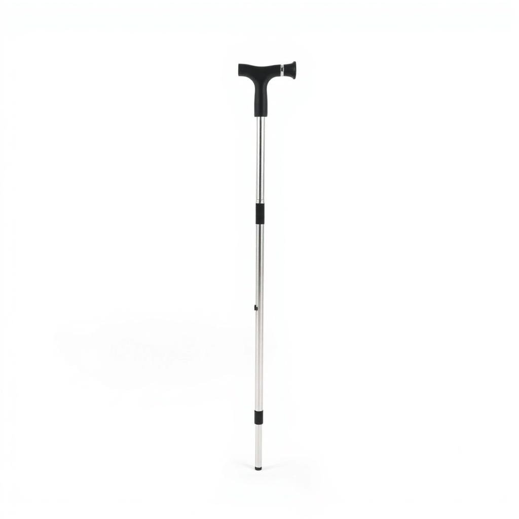 Walking Stick (Adjustable)